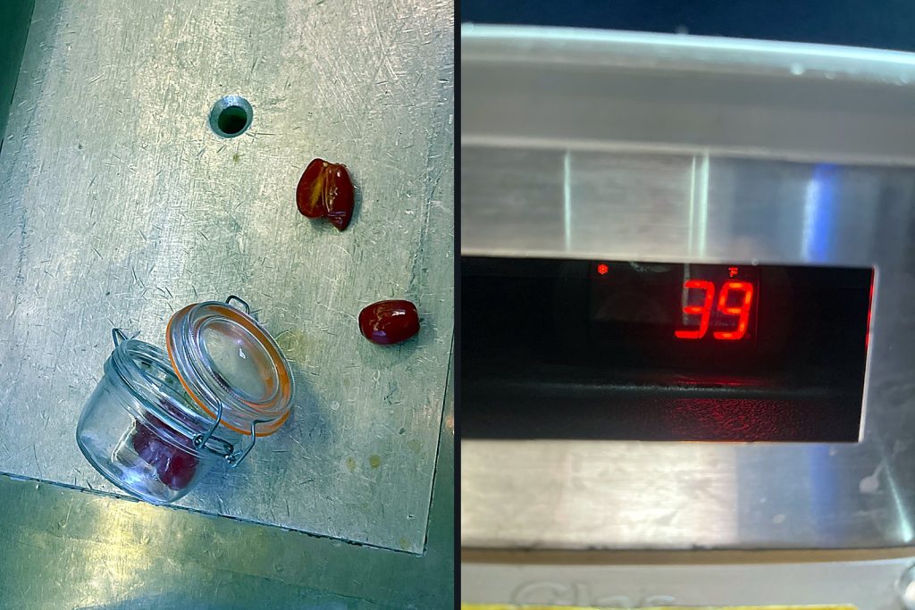 Left: the jar of peppers and two frozen peppers off the top shelf. Right: the controller reading 39, because its probe was reading the air coming off a block of ice.
