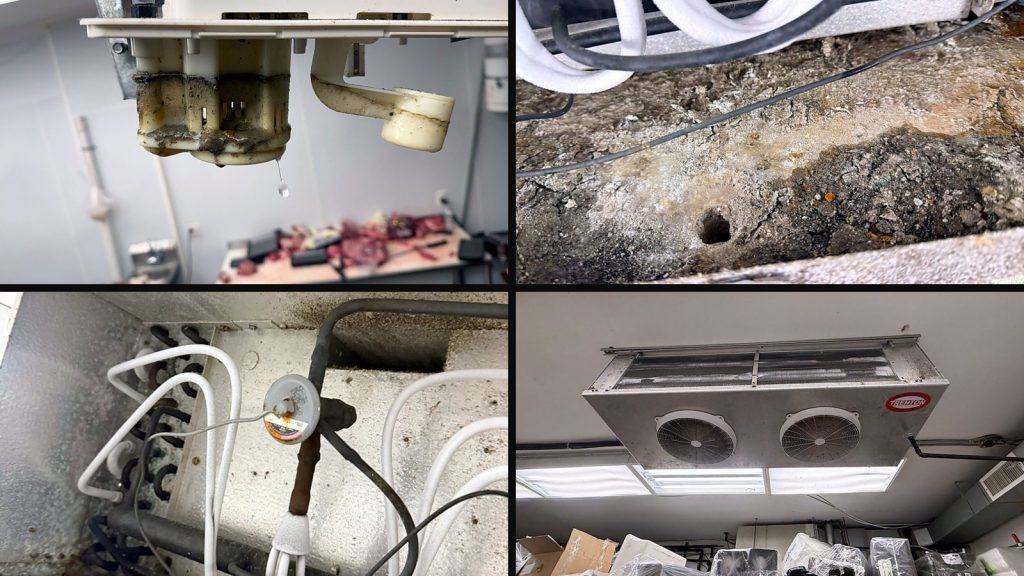 Collage of four photos from the butcher cold-room service: the dripping drain, the sludge in the pan, the new expansion valve, the evaporator after service