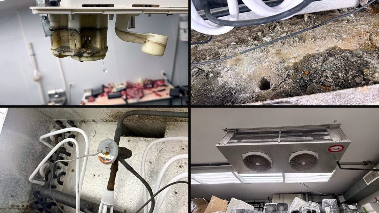 Collage of four photos from the butcher cold-room service: the dripping drain, the sludge in the pan, the new expansion valve, the evaporator after service