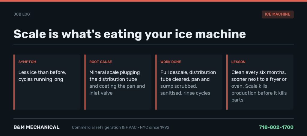 Job card: cuber in a coffee-and-donut shop making less ice with long cycles, caused by mineral scale plugging the distribution tube and coating the water pan and inlet valve; full descale, sanitise and rinse restored full sheets