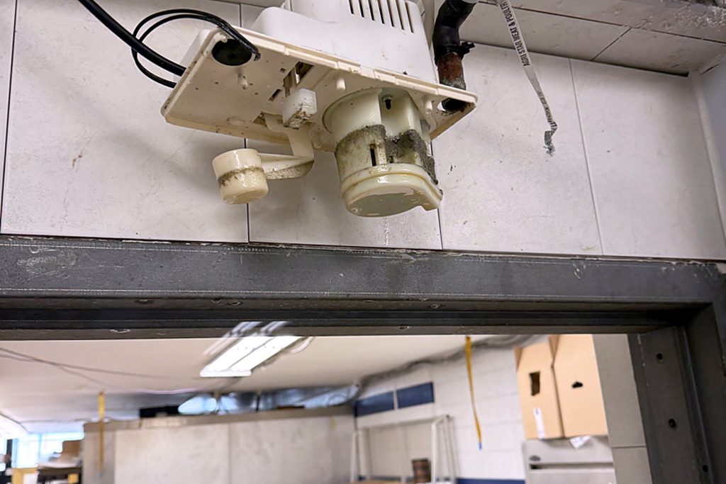 The condensate pump above the cold-room door. Its reservoir had the same band of sludge as the drain pan.