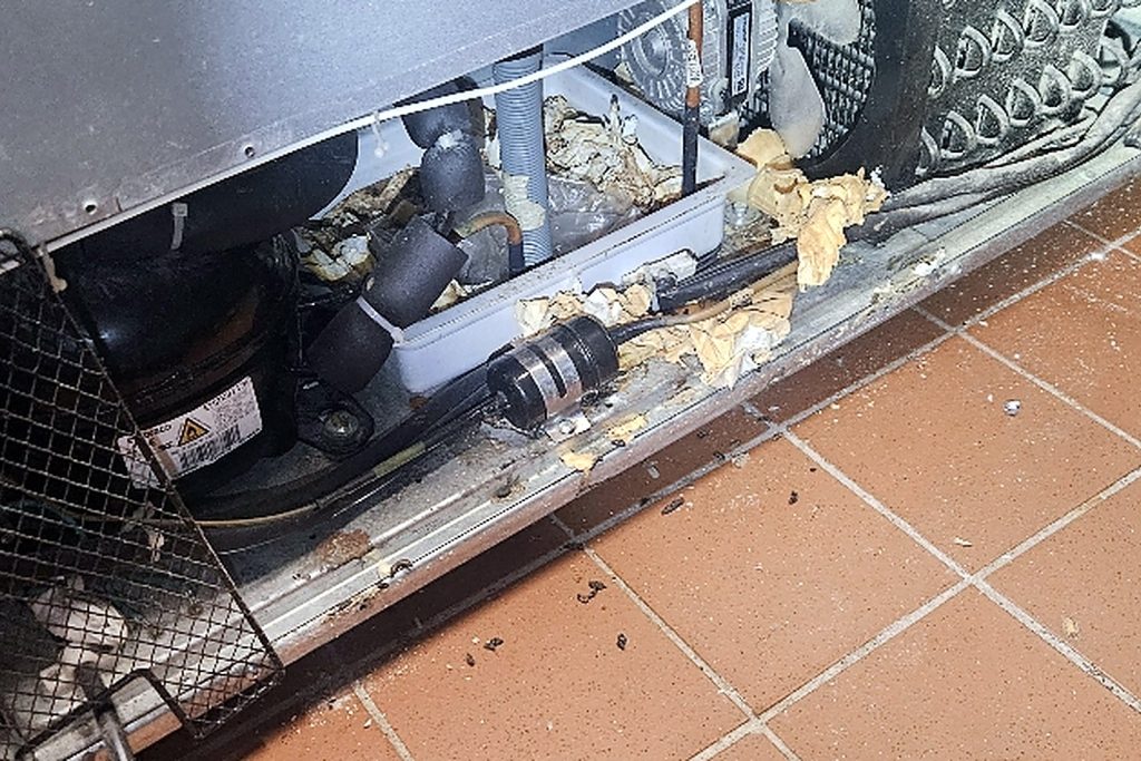 Open condensing section of a prep table with dough scraps and flour packed around the compressor and condenser coil