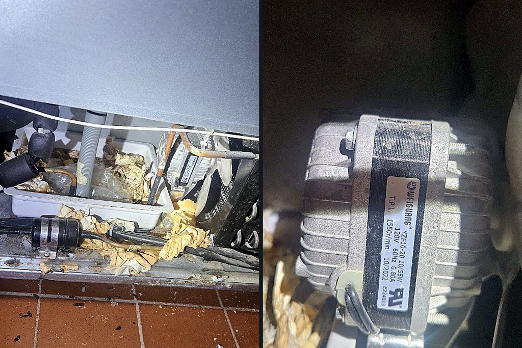 Left, dough and flour debris inside the prep table condenser section; right, a new Weiguang YZF10-20 condenser fan motor
