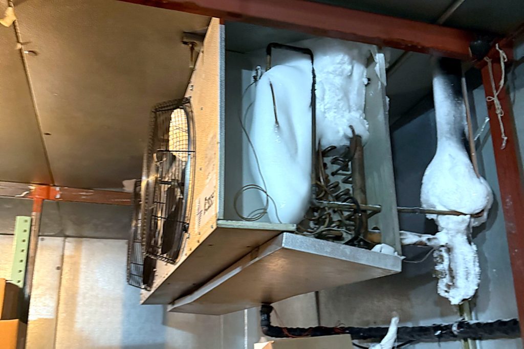 Ceiling-hung walk-in cooler evaporator with thick ice hanging off the coil and fan shrouds, a ladder set up beneath it