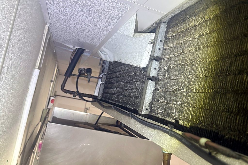 The Heatcraft low-profile unit cooler at the ceiling of the walk-in. The expansion valve sits at the inlet on the left; the fins are dark with grime.